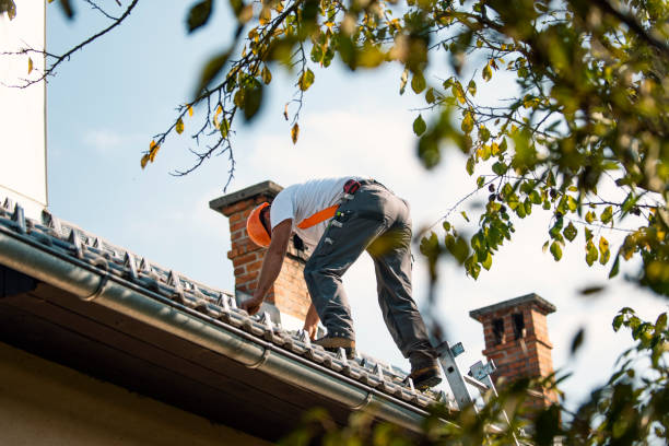 Best Commercial Roof Installation  in Saranac, MI