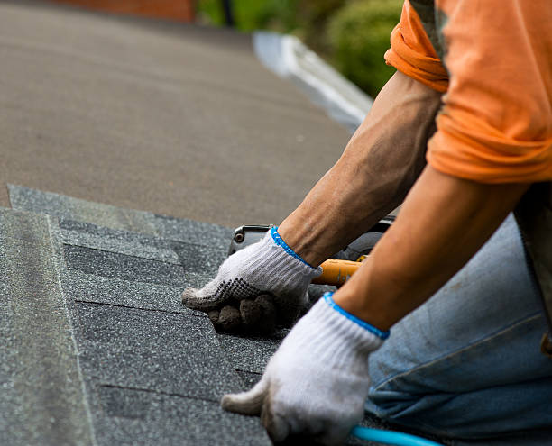 Best Local Roofing Companies  in Saranac, MI
